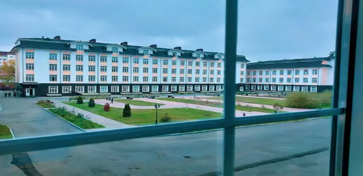 chechen state university