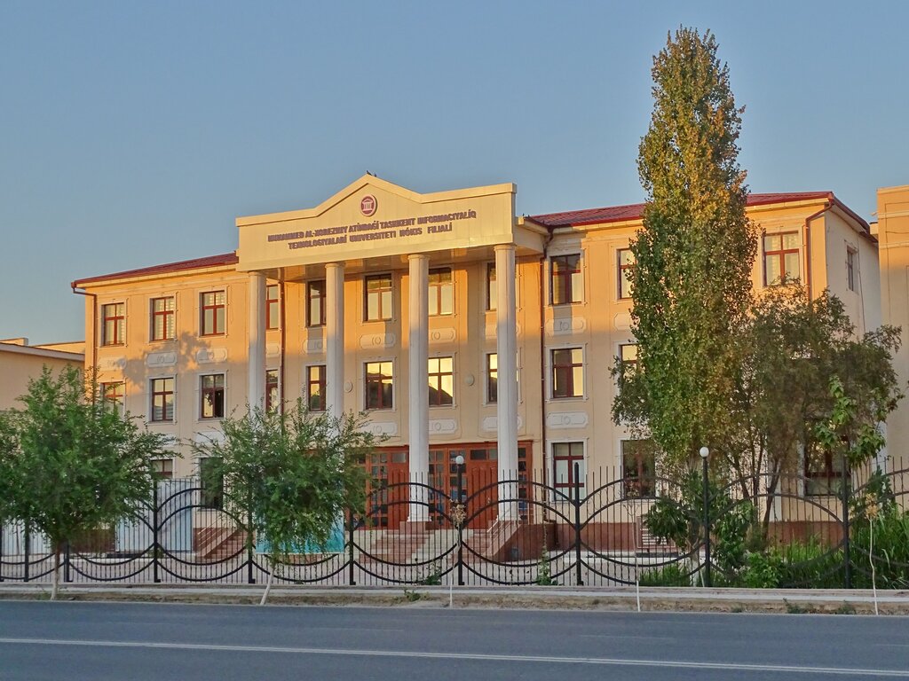 Nukus Branch of Tashkent Pediatric Medical Institute